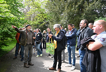 Les Accotements Fleuris en tournée à Alost – Ensemble pour des espaces verts riches en biodiversité