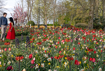 Slotakkoord van schilderachtig ontwerp JUB Holland bij Keukenhof 2025