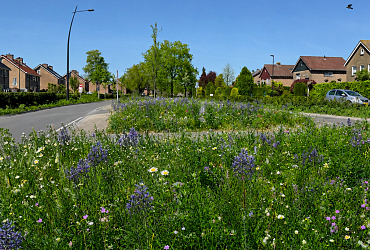 De Bonte Berm Roadshow in Putten