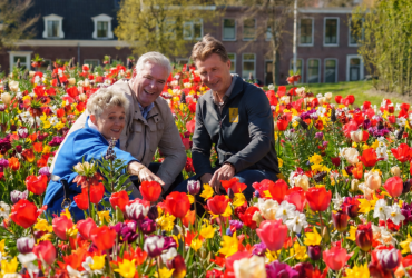  Bloembollen in het Bolwerk van Alkmaar