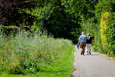 Bollen + kruidenproject te Sassenheim