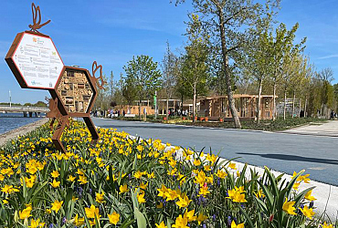 Bonte Berm op de Floriade