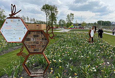 JUB Holland een groot aanjager in het vergroenen van steden