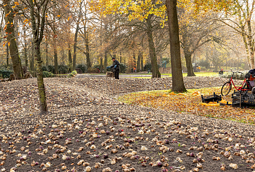 Planting borders Keukenhof - Indigo