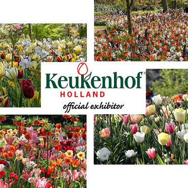 Keukenhof