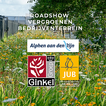 11 juni 2025 | Roadshow vergroenen Bedrijventerrein