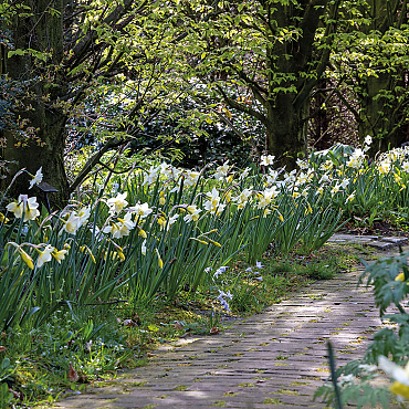 Garden- and Landscape designers
