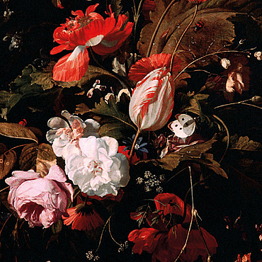 Still life | 2025