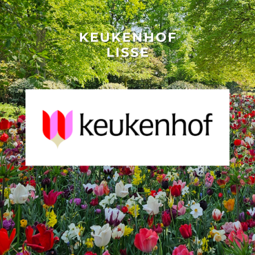 19 maart t/m 10 mei 2026 | Keukenhof