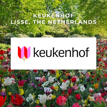 19 MARCH - 10 MAY 2026 | KEUKENHOF (NL)