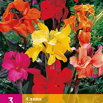 X 3 CANNA MIX I