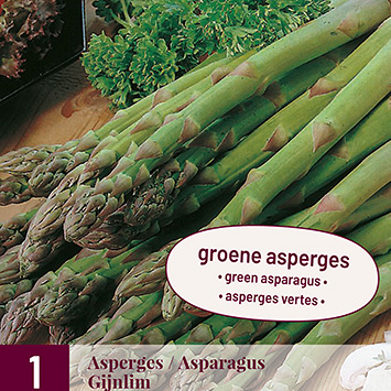 X 1 ASPARAGUS / ASPERGES GIJNLIM I
