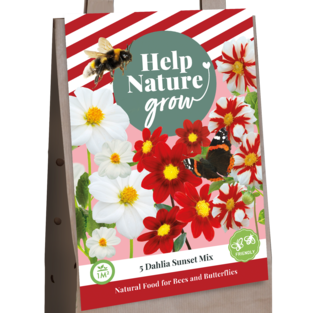X 1 TAS 5 DAHLIA SUNSET MIX - HELP NATURE GROW I