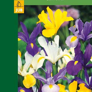 X   8 IRIS HOLLANDICA MIX 6/7