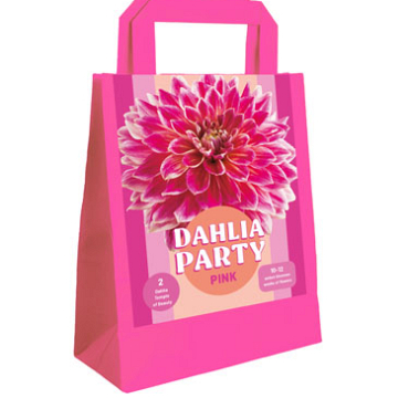 X 1 TAS 2 DAHLIA PARTY PINK I