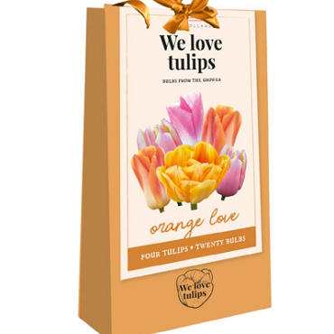 X 1 TAS 20 TULIPA 'WE LOVE TULIPS' ORANGE LOVE 11/12
