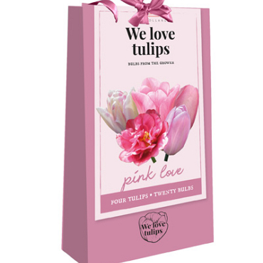 X 1 TAS 20 TULIPA 'WE LOVE TULIPS' PINK LOVE 11/12
