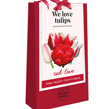 X 1 TAS 20 TULIPA 'WE LOVE TULIPS' RED LOVE 11/12