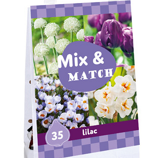 X 1 TAS 35 MIX & MATCH LILAC I