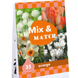X 1 TAS 35 MIX & MATCH ORANGE I