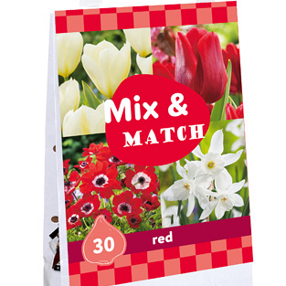 X 1 TAS 30 MIX & MATCH RED I