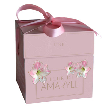 X 1 DOOSJE FLEUR D'AMARYLL PINK 28/30