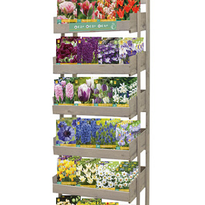 DISPLAY BULBS FOR BALCONY & TERRACE I