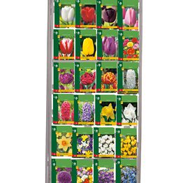 DISPLAY BUDGET (24 X 10) NJ II