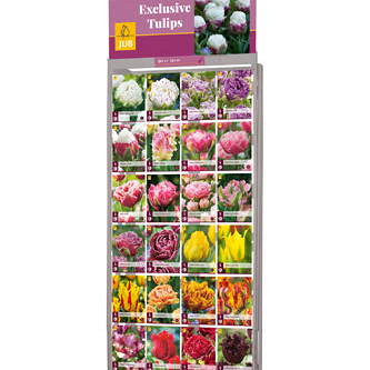 DISPLAY EXCLUSIEVE TULPEN (24 X 7) I