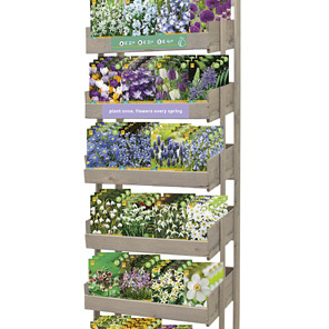 DISPLAY 'GROWING WILD' (M) I