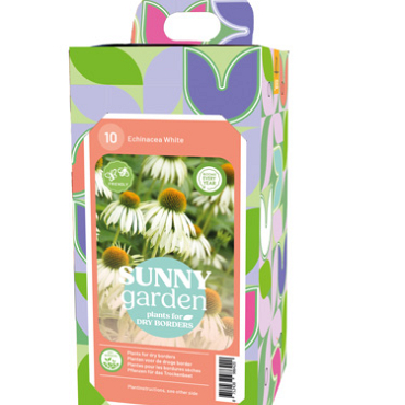 X 1 BOX SUNNY GARDEN 10 ECHINACEA WHITE I