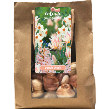 X 1 TAS 25 COLOUR YOUR GARDEN PEACH BLUSH I