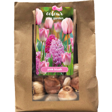 X 1 TAS 25 COLOUR YOUR GARDEN PINK BLUSH I