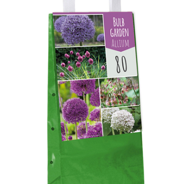 X  80 BULB GARDEN ALLIUM I