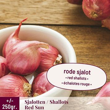 X 250 gr. SJALOTTEN RED SUN 7/14