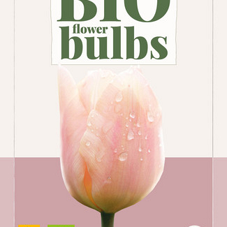 X   7 TULIPA SALMON IMPRESSION - BIO 11/+