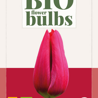 X   7 TULIPA STRONG LOVE - BIO 11/+