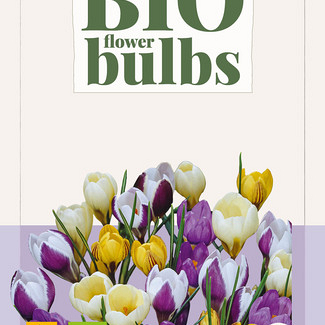 X 15 CROCUS SPECIES MIX - BIO 5/+