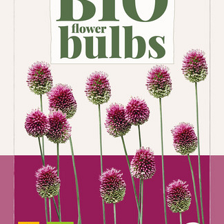 X 15 ALLIUM SPHAEROCEPHALON - BIO 5/6
