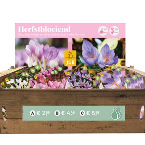 OPZETDOOS 4 X 15 NAJAARSBLOEIERS I