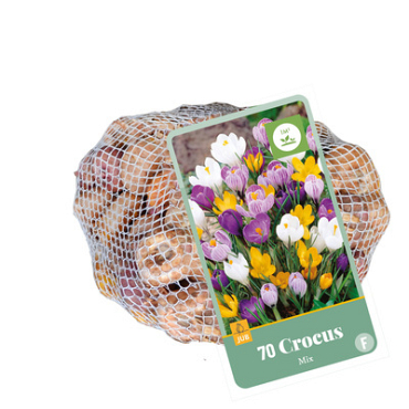 X   70 CROCUS MIX 7/8