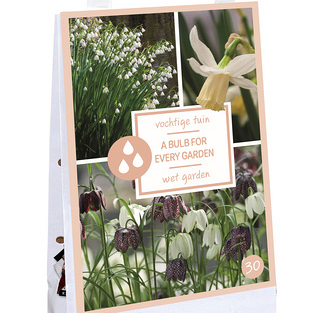 X 1 TAS 30 BULBS FOR EVERY GARDEN - WET GARDEN I