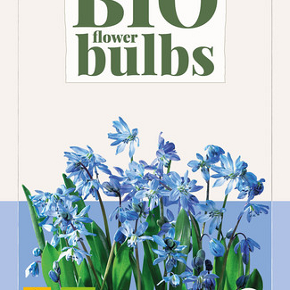 X 10 SCILLA SIBERICA - BIO 6/+
