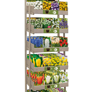 DISPLAY LASAGNE BEPLANTING (EN) I