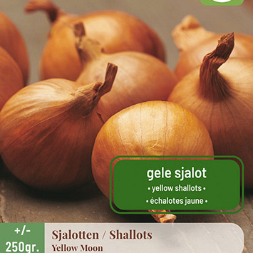X 250 gr. SJALOTTEN YELLOW MOON 7/14
