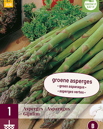 X 1 ASPARAGUS / ASPERGES GIJNLIM I