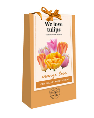 X 1 TAS 20 TULIPA 'WE LOVE TULIPS' ORANGE LOVE 11/12