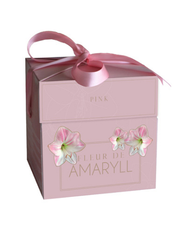 X 1 DOOSJE FLEUR D'AMARYLL PINK 28/30