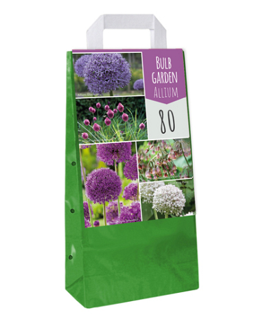 X  80 BULB GARDEN ALLIUM I