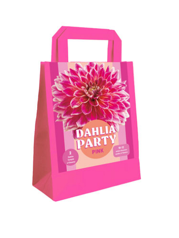 X 1 TAS 2 DAHLIA PARTY PINK I
